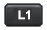 L1