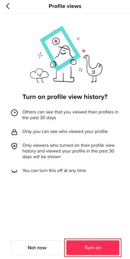 Historial de la vista del perfil TikTok