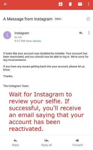 Reactiva tu cuenta de Instagram
