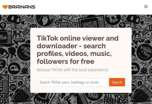 Visor online de TikTok