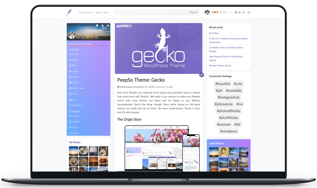 Tema Gecko