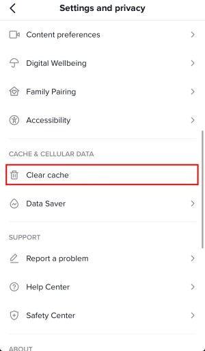 Borrar caché en TikTok