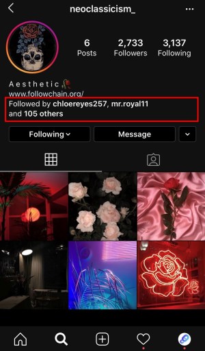 Instagram seguido por